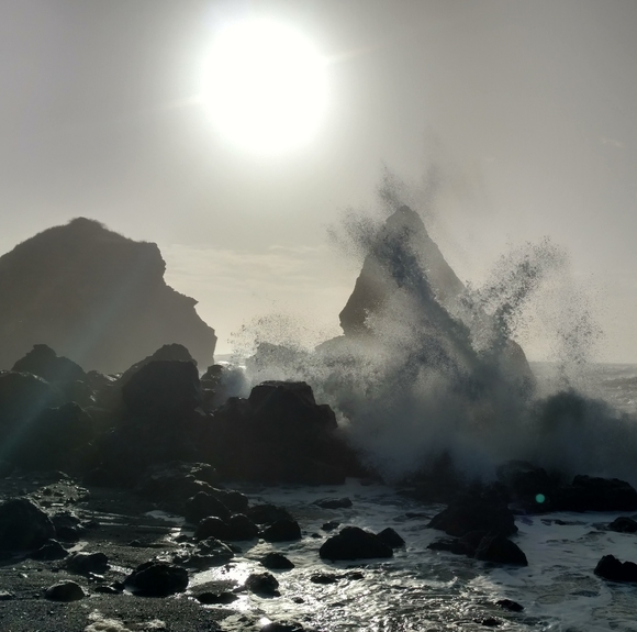 Meet your Posher, Crystal - Picture 4 of 13